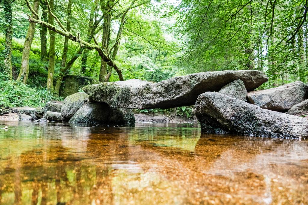 Escapade dans la forêt d'Huelgoat pendant votre séjour en B&B en Bretagne