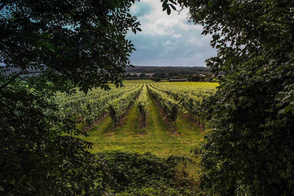 Kent & East Sussex