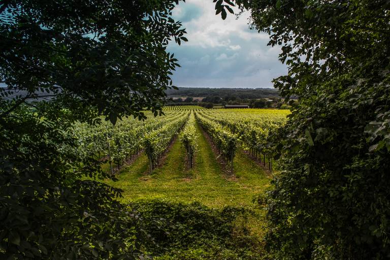 Kent & East Sussex