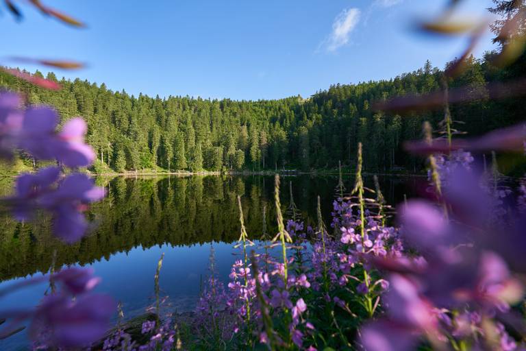 Mummelsee-Hornisgrinde-Pfad