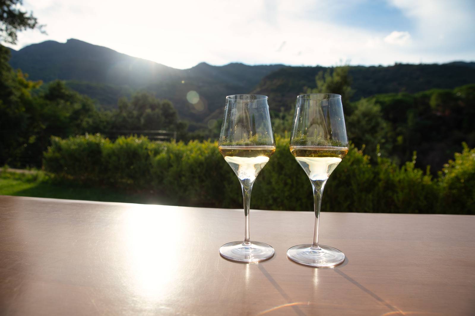 Zwei Gläser Weißwein auf einem Tisch vor einer malerischen Kulisse aus Hügeln und hellem, sonnigem Himmel.
