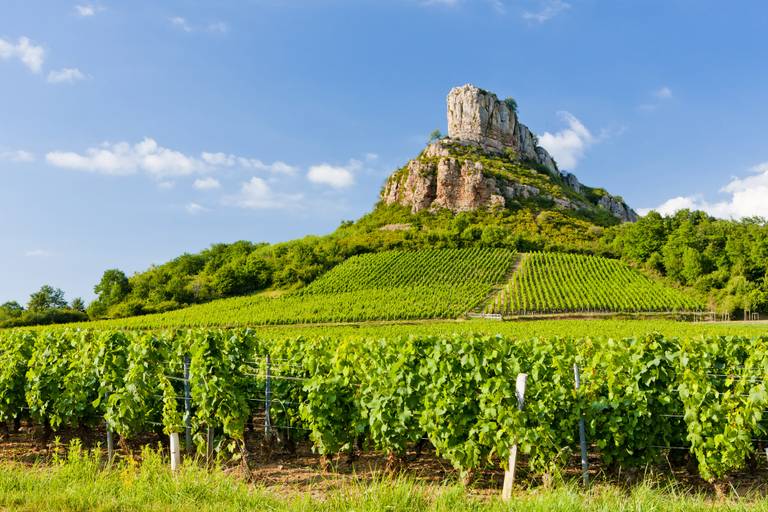 Burgund | Frankreich