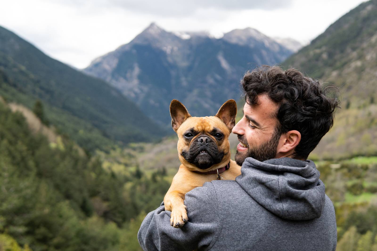 Vacanze con animali domestici in B&B Pet-friendly