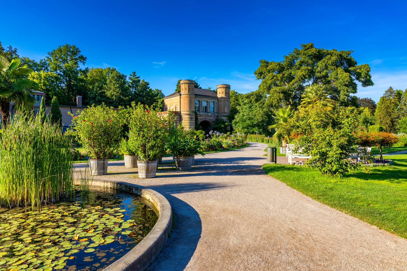 Ein malerischer Gartenweg schlängelt sich an einem Teich mit Seerosen vorbei und führt zu einem historischen Gebäude unter klarem blauen Himmel, umgeben von üppigem Grün.
