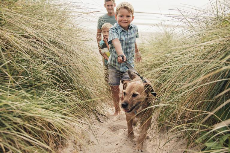 Ein lächelnder Junge führt einen braunen Hund an der Leine über einen sandigen Dünenpfad durch hohes Gras, gefolgt von einem weiteren Kind und einem erwachsenen Mann.