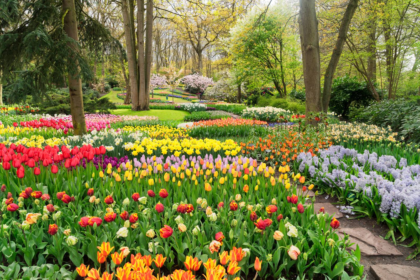 Information and tips for enjoying a flowery stay in the Netherlands