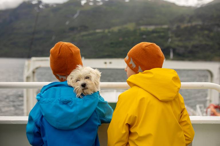 Viaggi all'estero con famiglia e cane