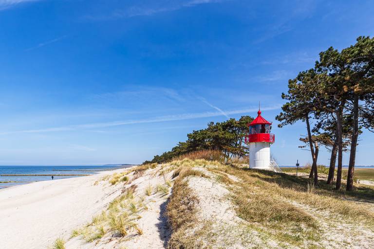 Kleiner rot-weißer Leuchtturm auf einer sandigen Düne mit Gras, umgeben von Bäumen, mit Blick auf ein ruhiges blaues Meer und klaren Himmel.