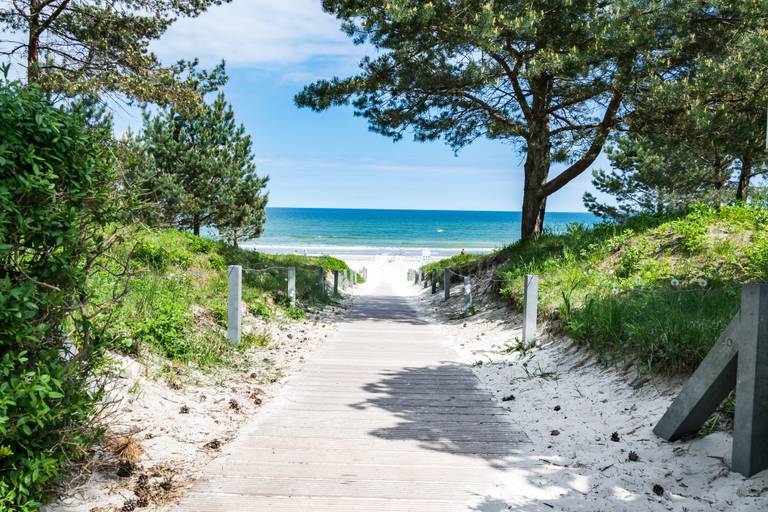 Holzsteg, der durch üppiges Grün zu einem Sandstrand führt, mit klarem blauem Himmel und ruhigem Meer im Hintergrund.