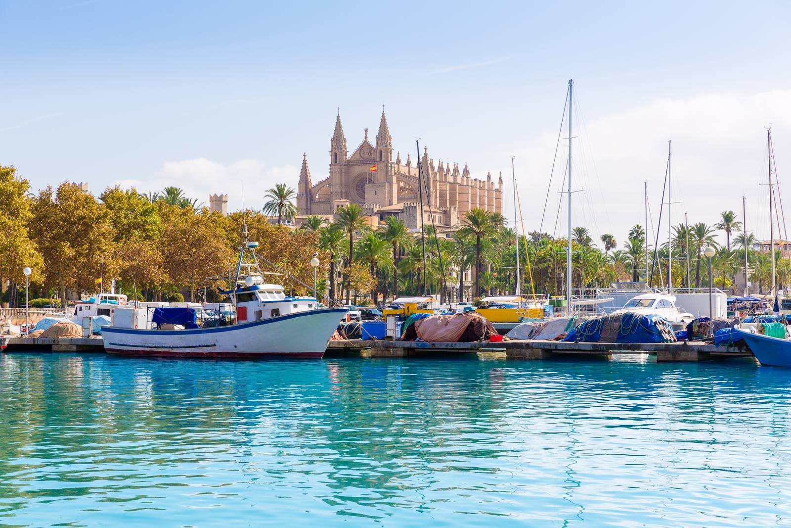 Palma di Maiorca