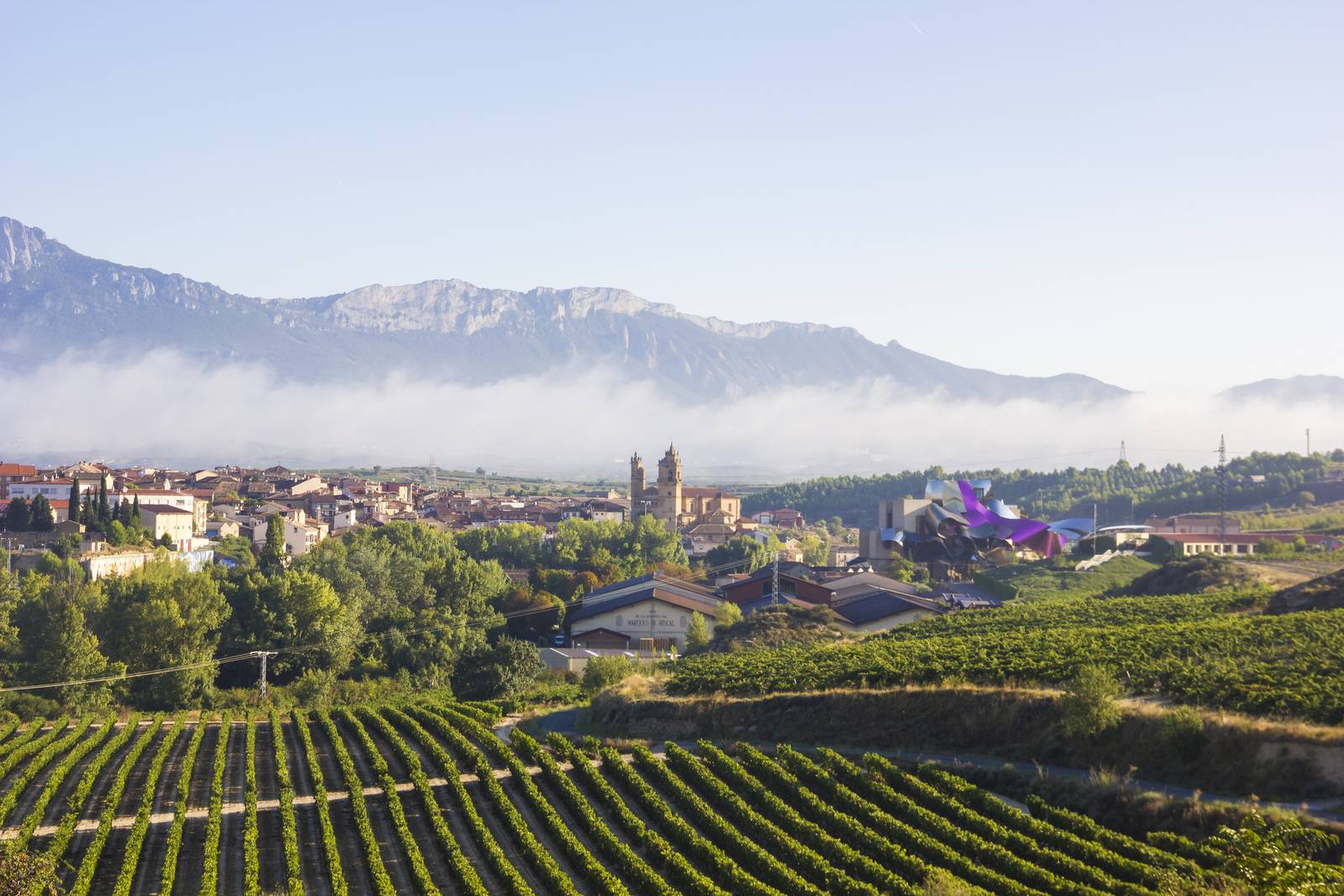 Pueblo de Elciego en La Rioja con las montañas de fondo y los viñedos al frente