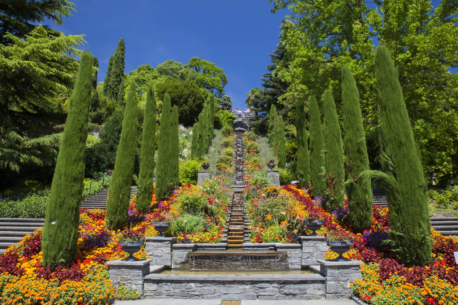Symmetrischer Terrassengarten mit Steintreppen, zentralem Wasserspiel, Reihen hoher Zypressen und leuchtenden orange-, rot- und gelbfarbenen Blumen.