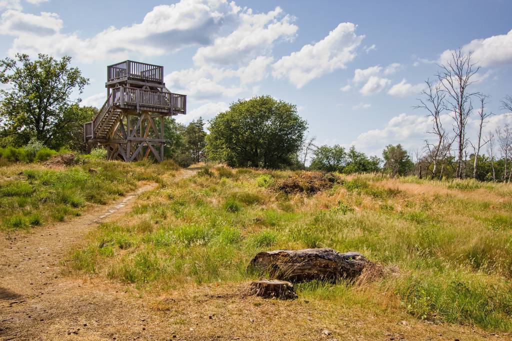 Uitkijktoren in Nationaal Park in Limburg