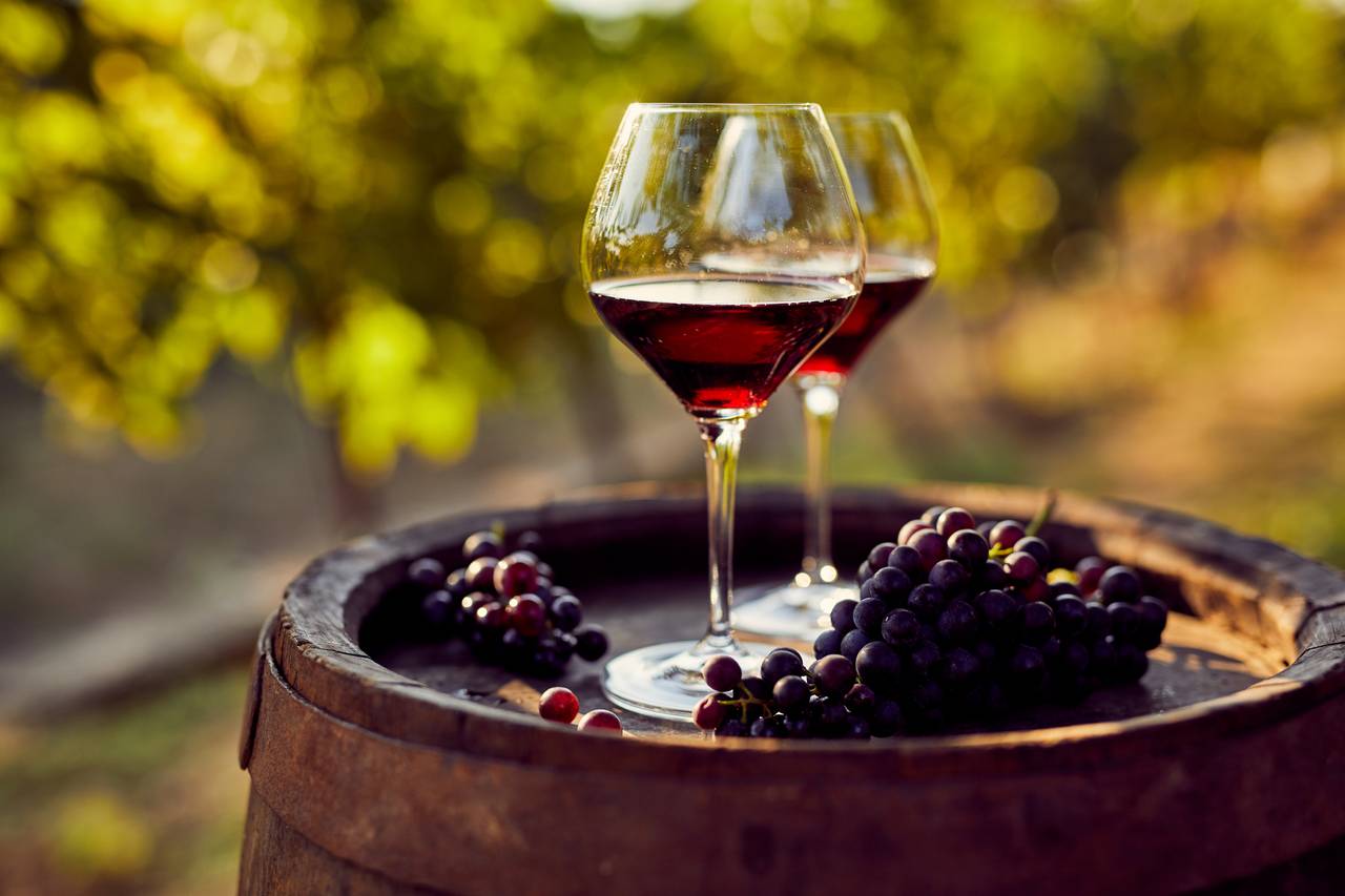 Zwei Gläser Rotwein auf einem Holzfass mit Trauben, vor unscharfem Weinberg-Hintergrund
