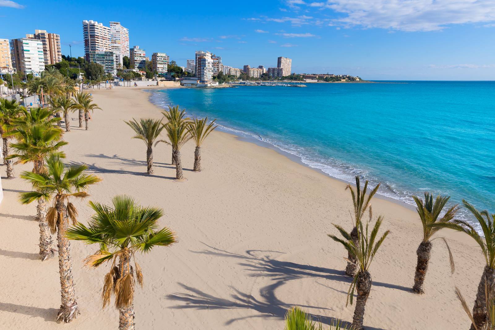 Albufereta en Alicante