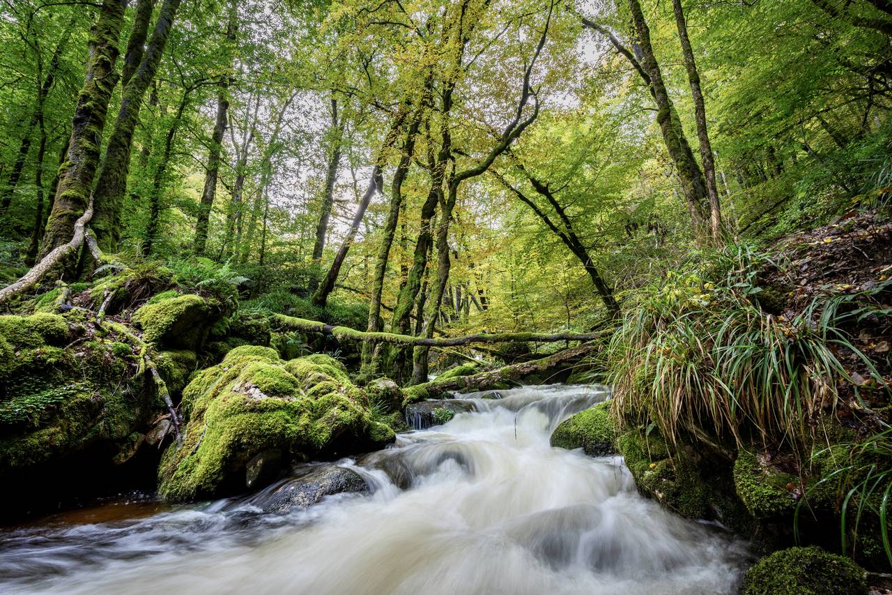 Le Morvan dans la Nièvre