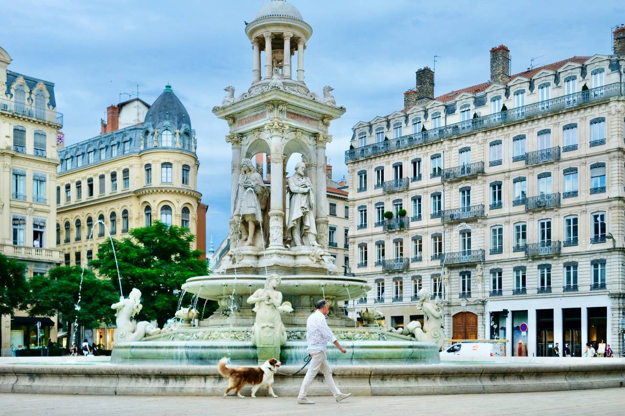 Avec votre chien à Lyon
