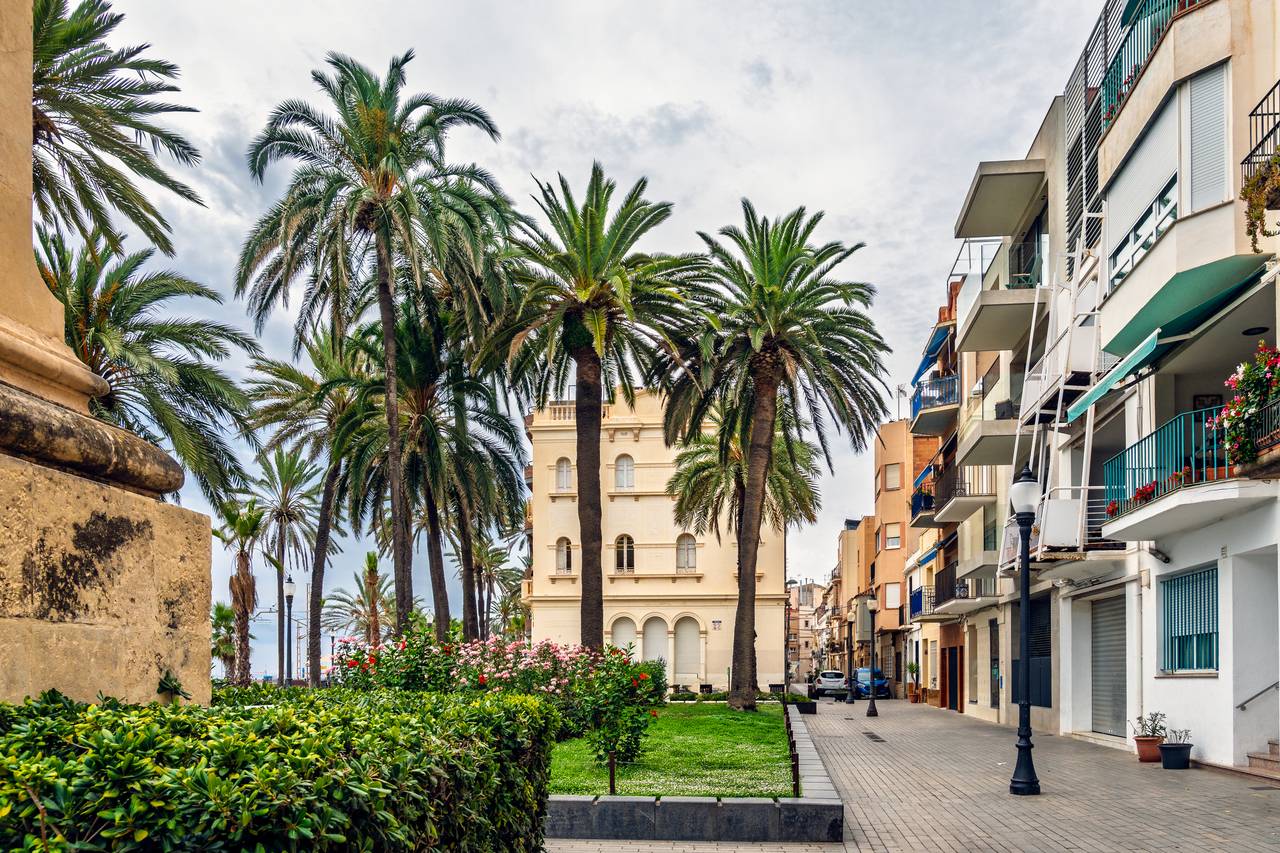Palmeras y edificios en el centro de Badalona