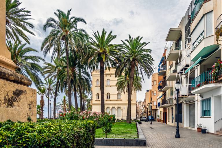 Palmeras y edificios en el centro de Badalona