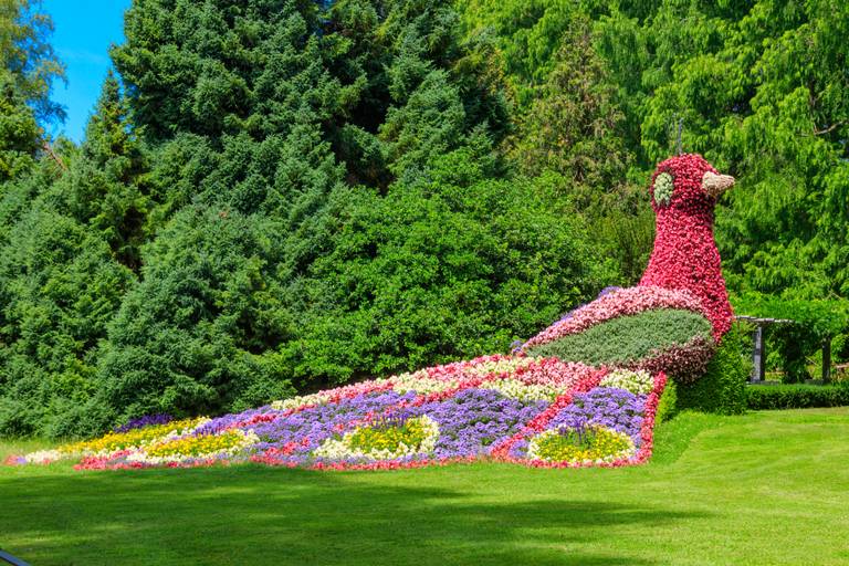 Blumenskulptur eines farbenfrohen Pfaus aus leuchtenden Blumen, in einem üppig grünen Garten mit hohen Bäumen im Hintergrund.