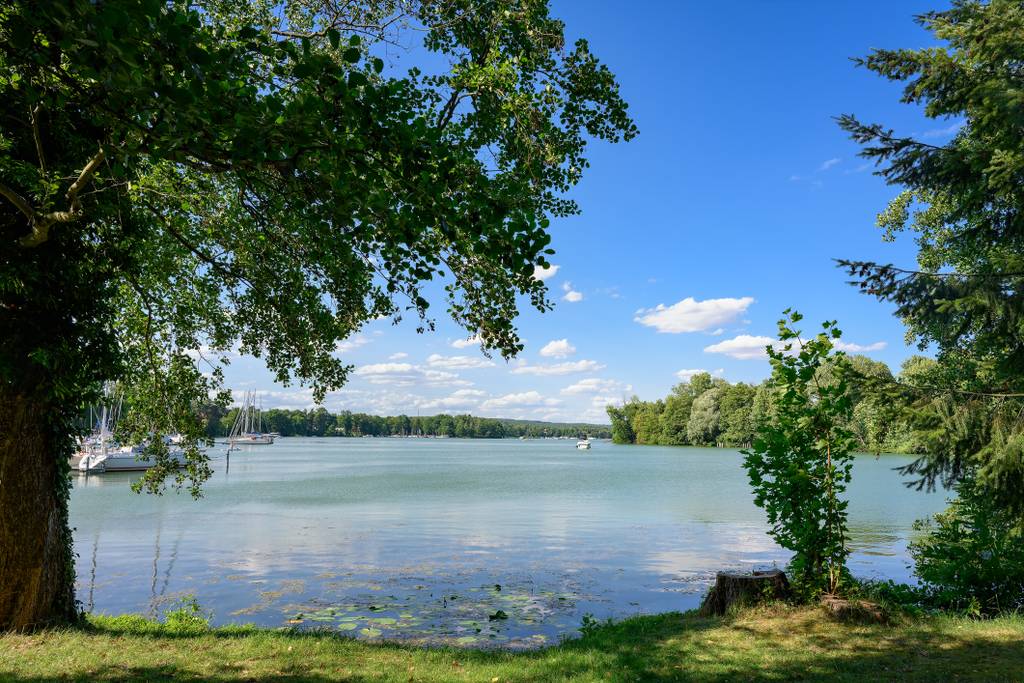 Eine ruhige Seelandschaft mit Booten in der Ferne, umgeben von üppig grünen Bäumen unter einem klaren blauen Himmel.