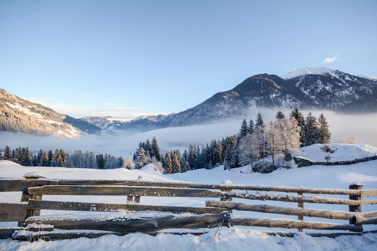 Verschneite Landschaft mit einem Holzzaun im Vordergrund, Kiefern und Bergen in der Ferne unter einem klaren, blauen Himmel.