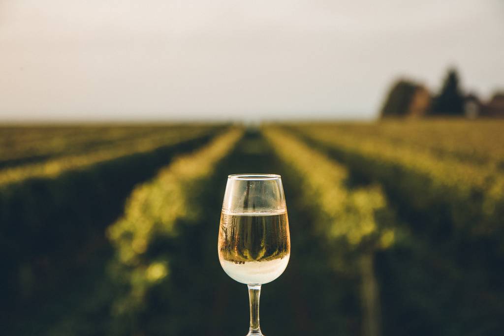 Yorkshire Wine Trail