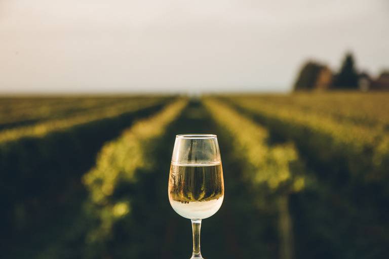 Yorkshire Wine Trail