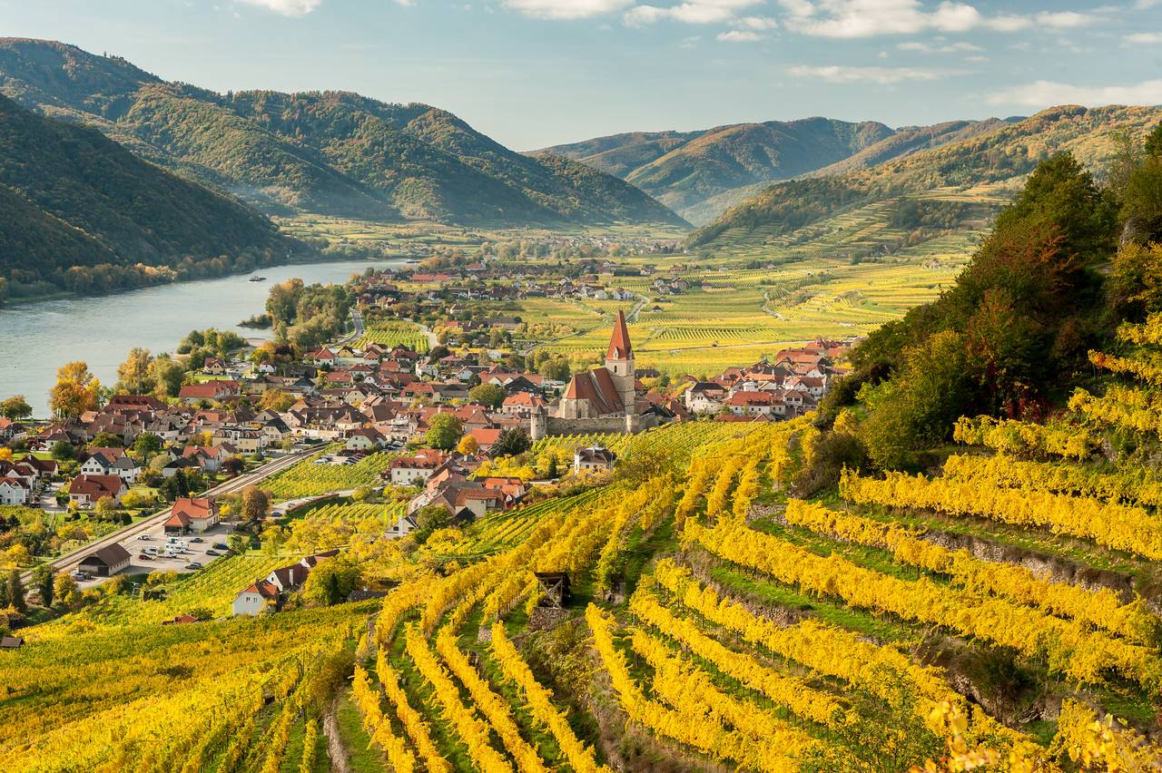 Vista de los viñedos en Wachau en otoño