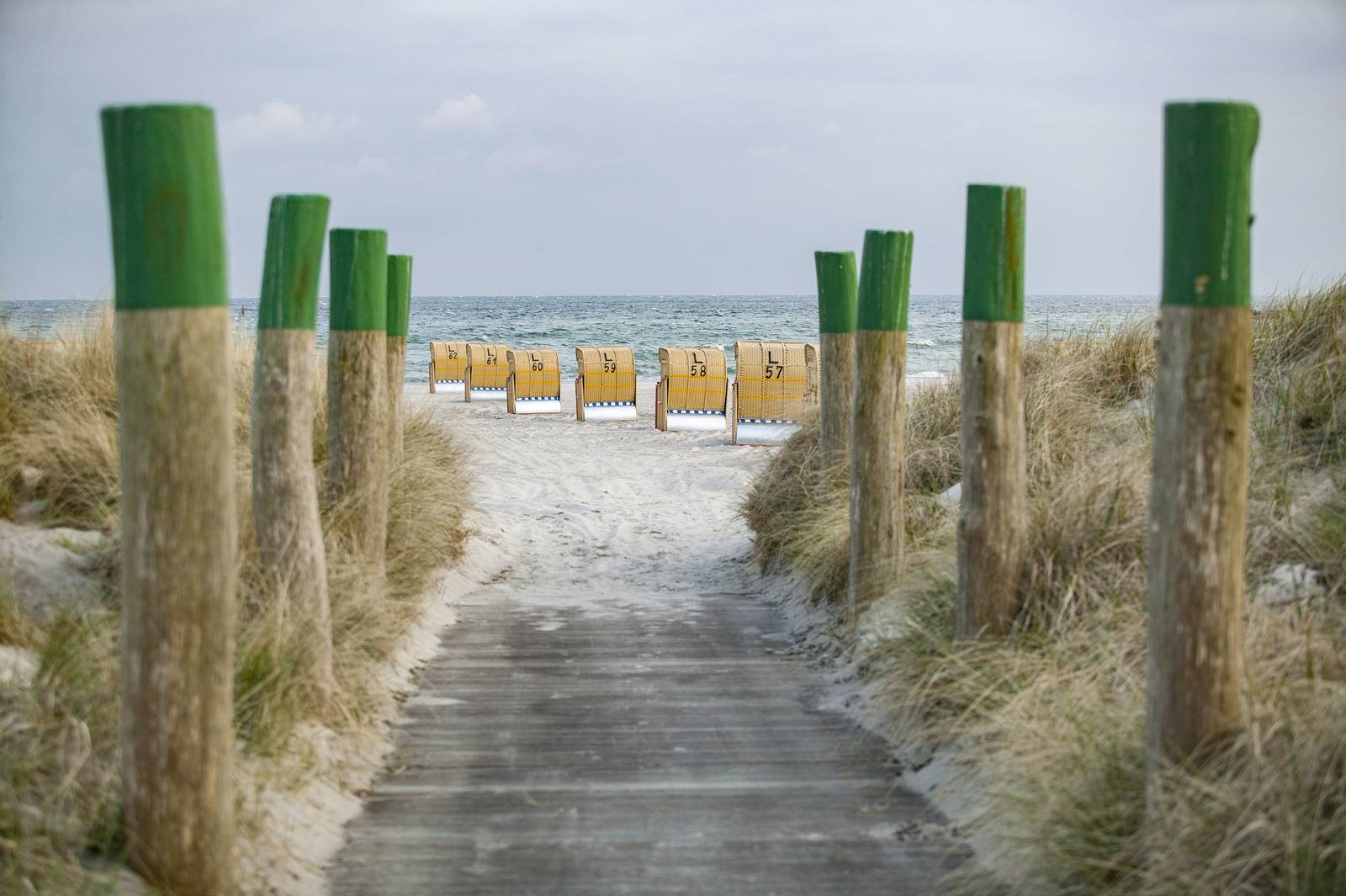 Holzsteg durch Dünengräser mit grünen Pfosten, der zu einem Sandstrand führt, auf dem weiße Strandkörbe dem Meer zugewandt stehen, sonniger Himmel, realistisch, detailliert, warme Farben.