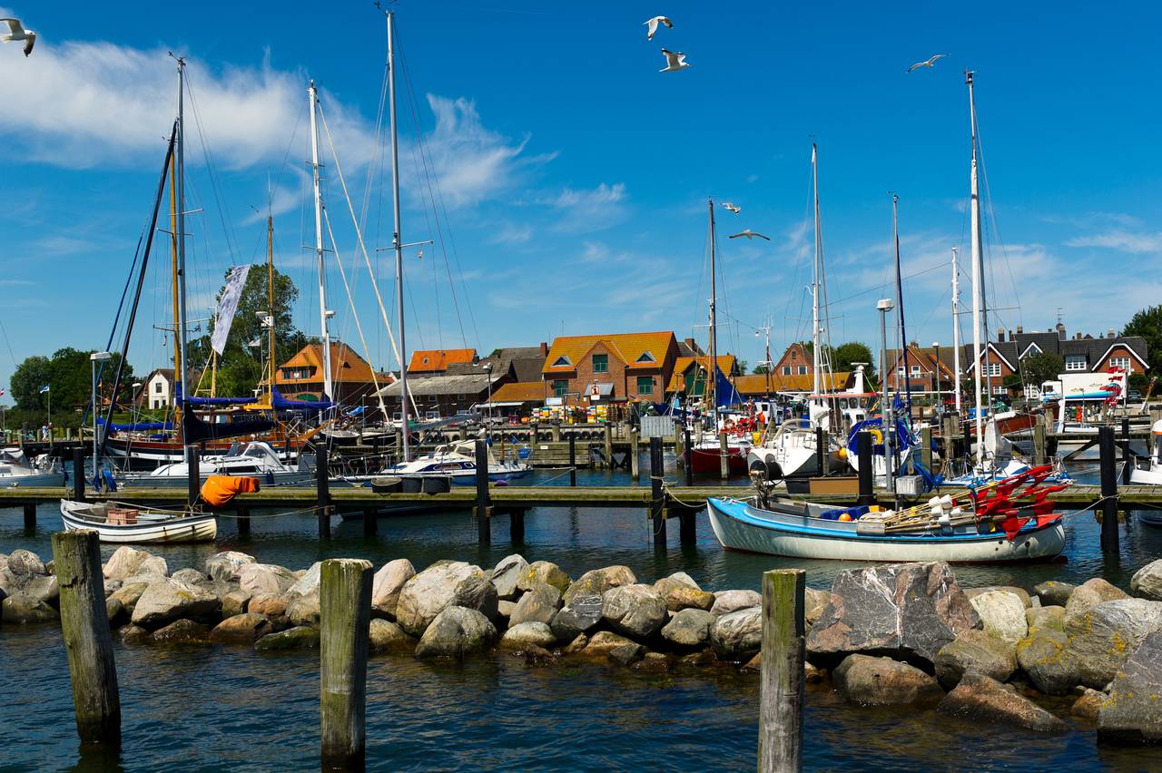 Ein malerischer Hafen mit angedockten Segelbooten, bunten Gebäuden im Hintergrund und fliegenden Möwen unter blauem Himmel.