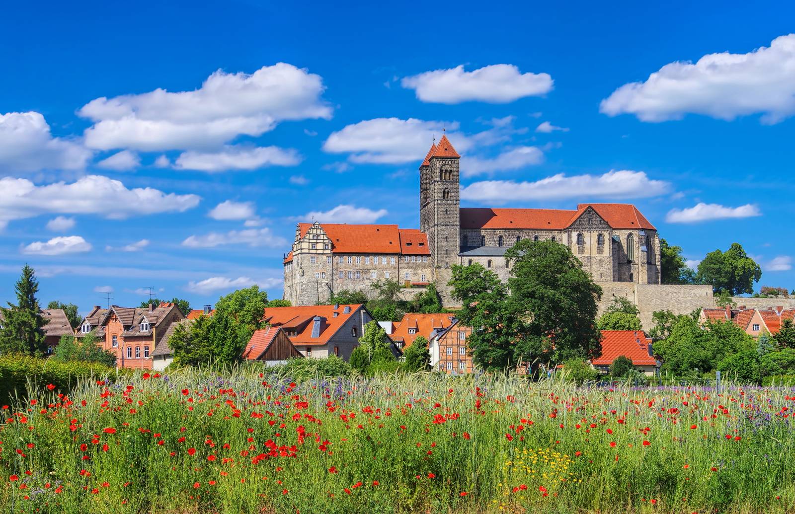 Eine historische Steinkirche mit rotem Dach steht auf einem Hügel, umgeben von malerischen Häusern und einem Feld roter Mohnblumen unter blauem Himmel