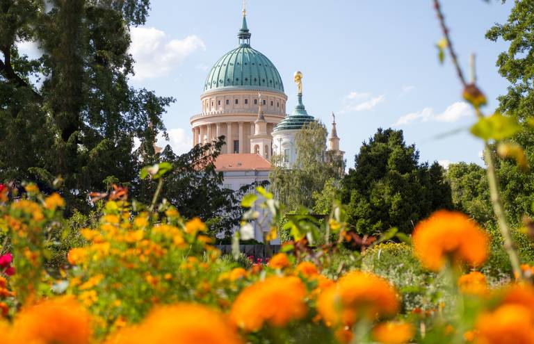 Orangefarbene Blumen in einem Garten mit einem Kuppelgebäude im Hintergrund, umgeben von Bäumen unter einem blauen Himmel.
