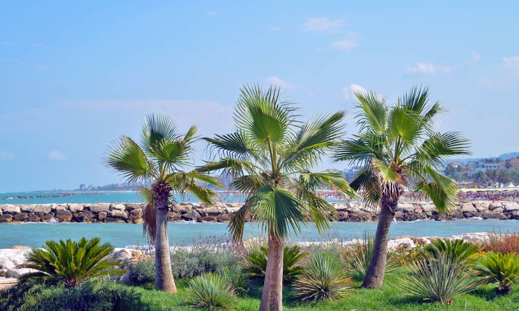 riviera delle palme san benedetto del tronto. Marche