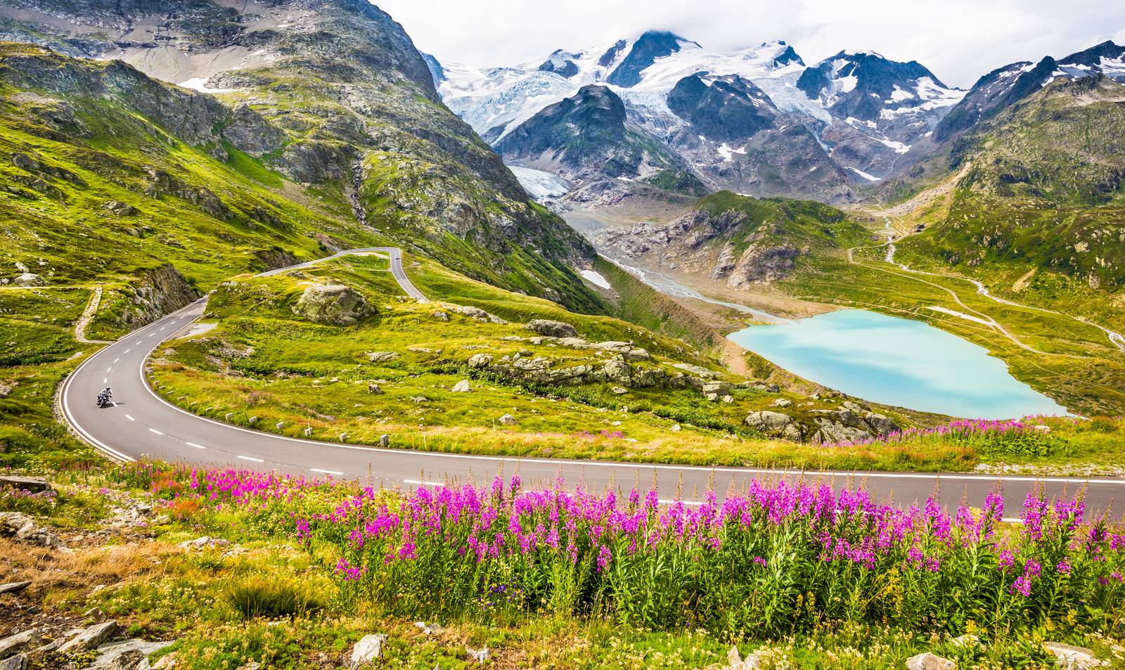Geschwungene Panoramastraße mit einem Motorradfahrer, leuchtend pinken Blumen, türkisfarbenem See und majestätischen schneebedeckten Bergen im Hintergrund unter bewölktem Himmel.