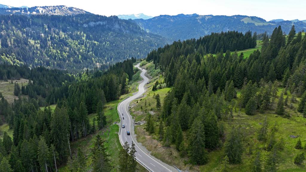 Alpenstrasse durch Wälder