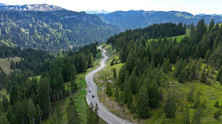 Alpenstrasse durch Wälder