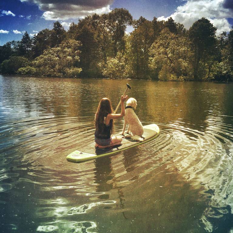 Eine Person paddelt auf einem Stand-Up-Paddleboard, während ein Hund neben ihr sitzt, auf einem ruhigen See mit baumgesäumtem Ufer und vom Wasser reflektiertem bewölktem Himmel.