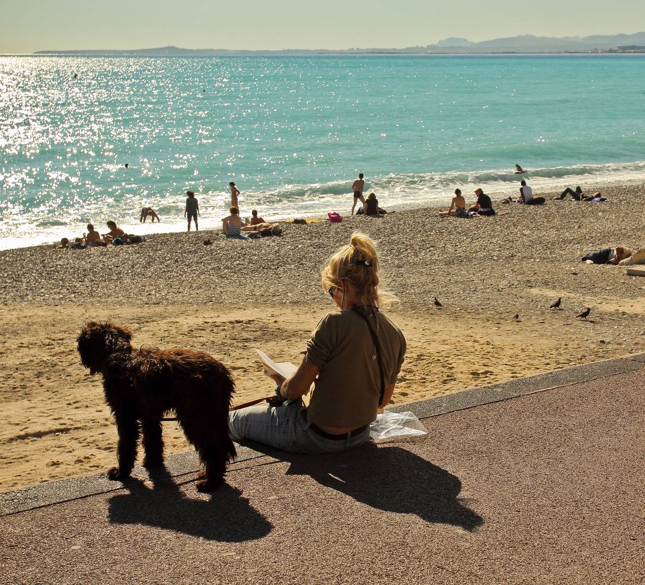 Avec votre chien à Nice