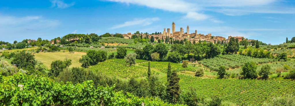 Enoturismo: le migliori strade del vino nelle regioni vinicole più belle