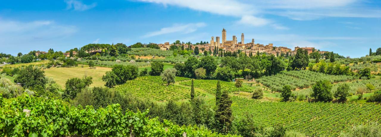 Enoturismo: le migliori strade del vino nelle regioni vinicole più belle