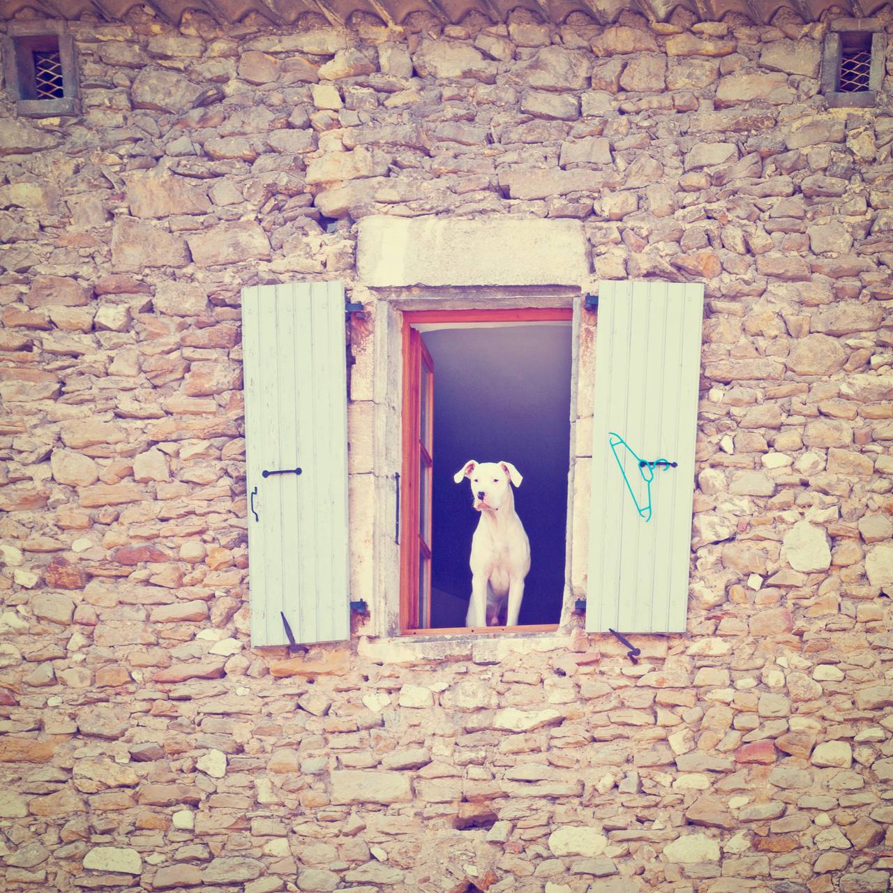 La Drôme Provencale