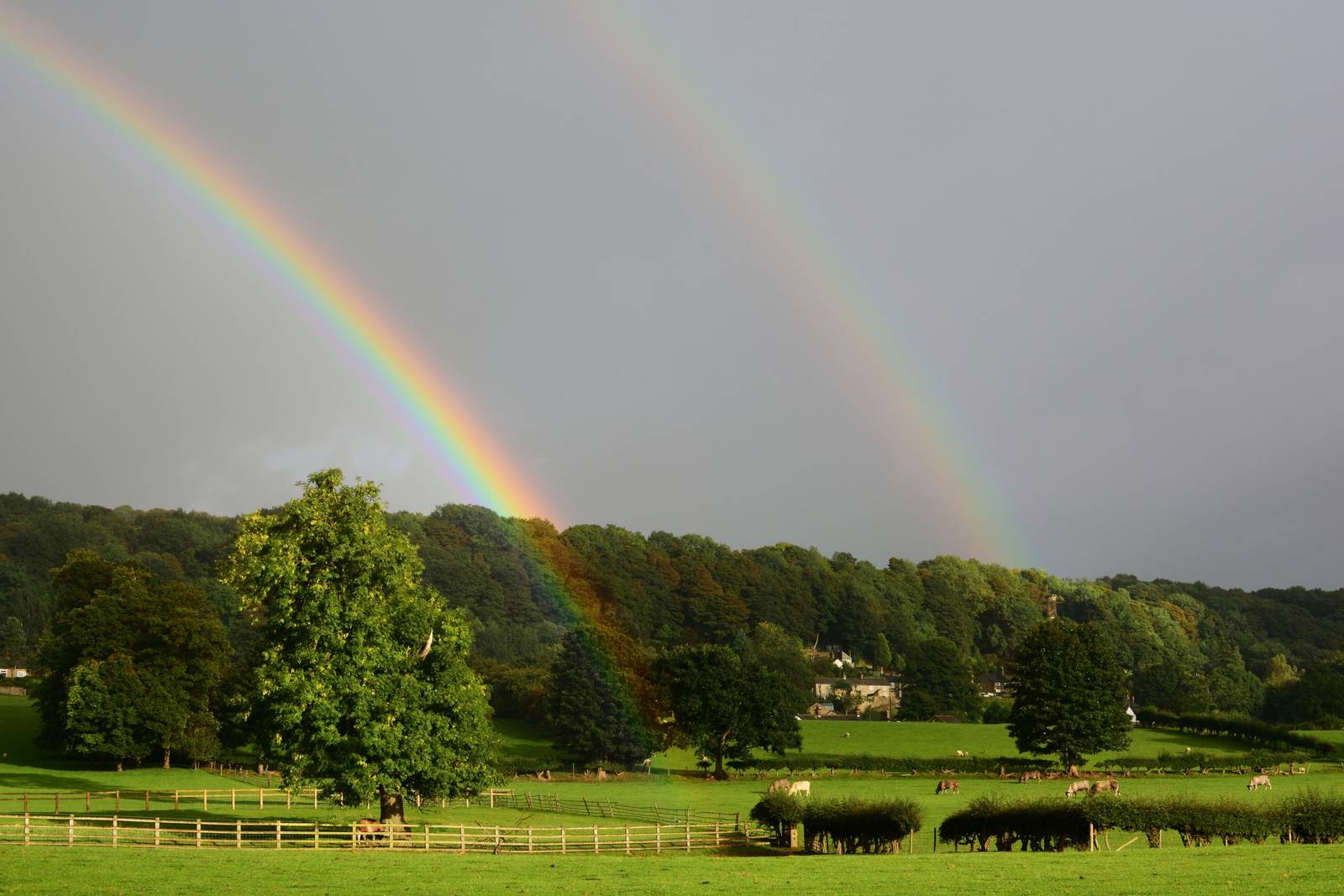 B&Bs in the countryside around Chester