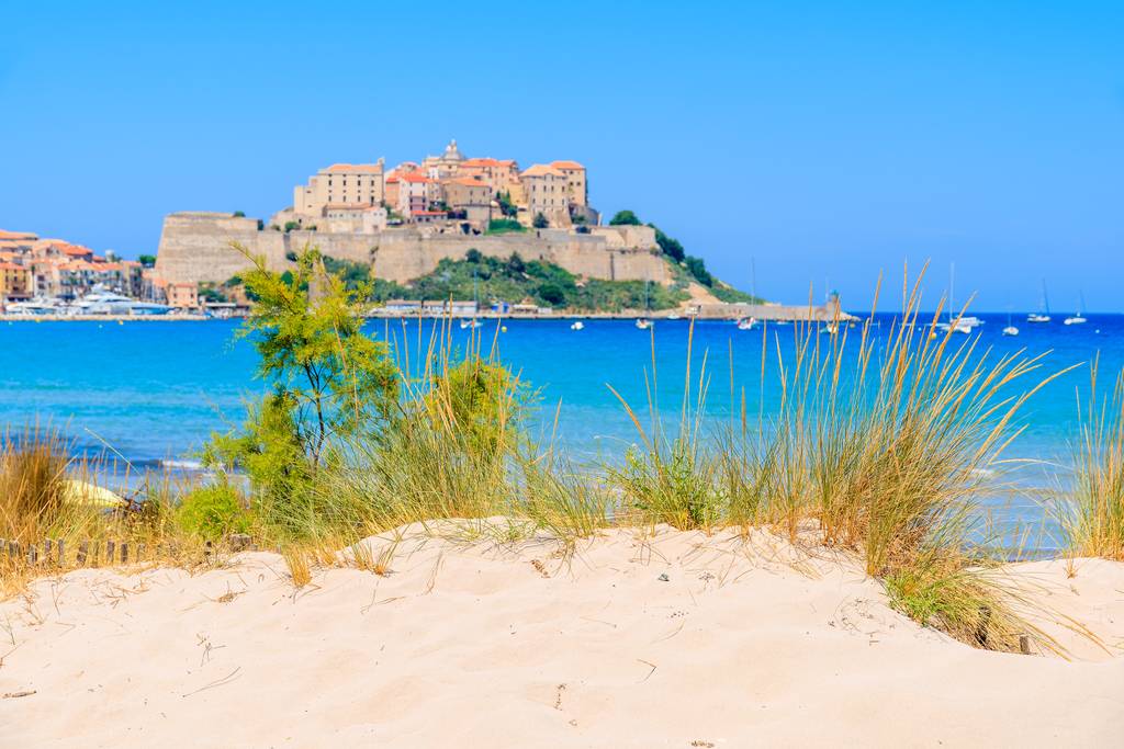 la ville de Calvi vue de la plage