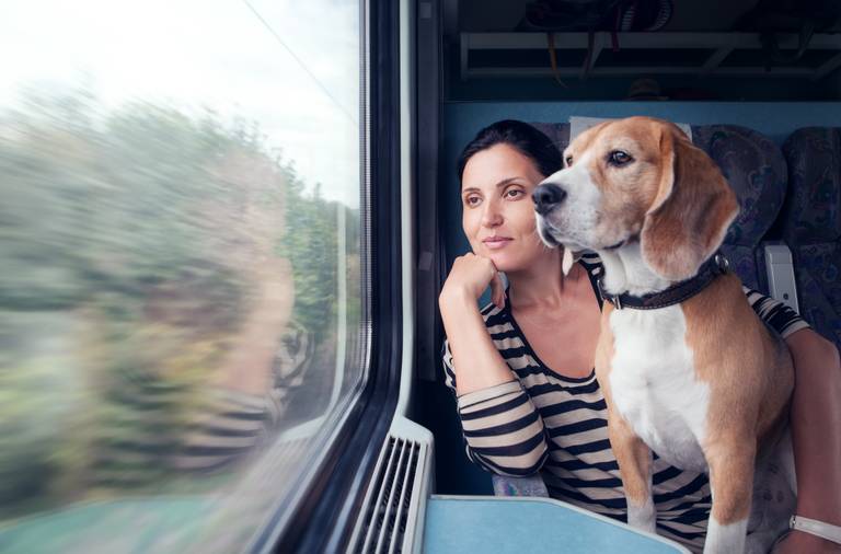 Eine Frau in gestreiftem Shirt und ihr Beagle blicken aus dem Zugfenster, während die vorbeiziehende Landschaft verschwimmt.