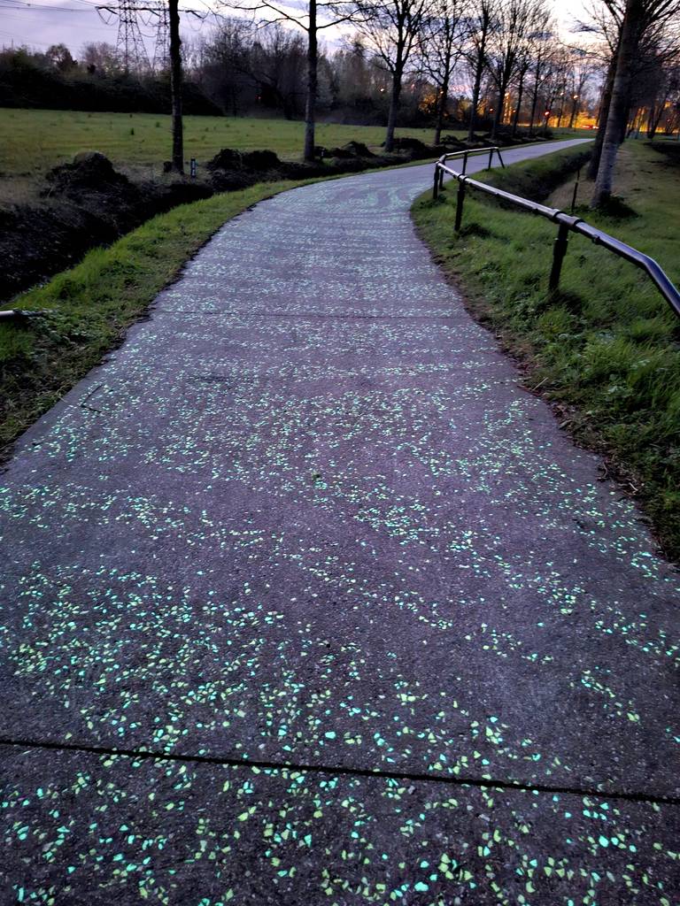 pista ciclabile van gogh