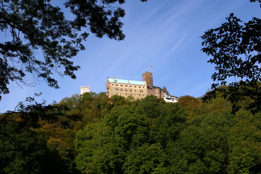 Eine Burg mit hohem Turm thront auf einem bewaldeten Hügel unter klarem blauem Himmel, eingerahmt von Baumästen