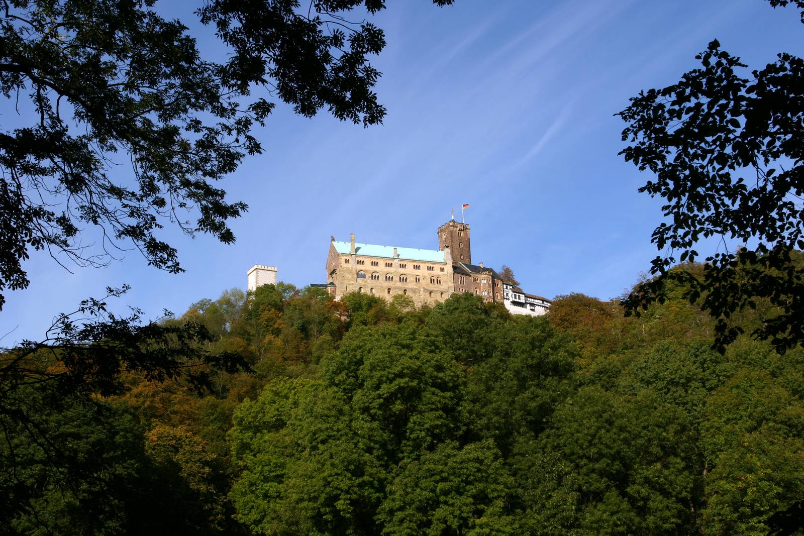 Eine Burg mit hohem Turm thront auf einem bewaldeten Hügel unter klarem blauem Himmel, eingerahmt von Baumästen