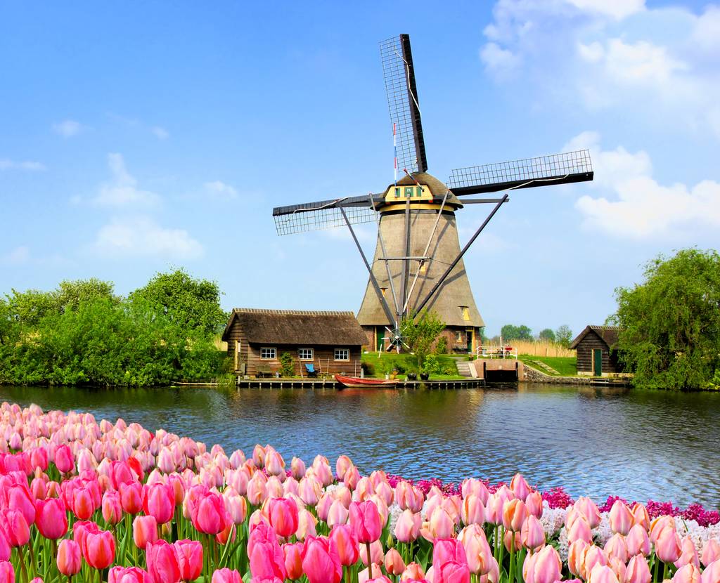 Zuid-Holland