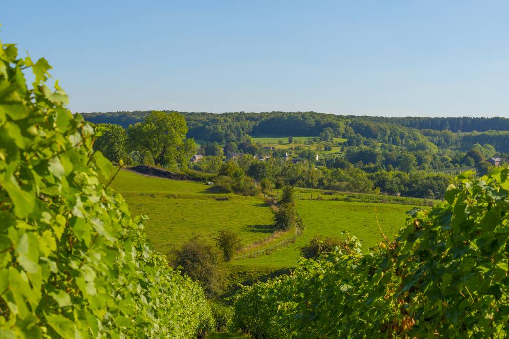 Limburg